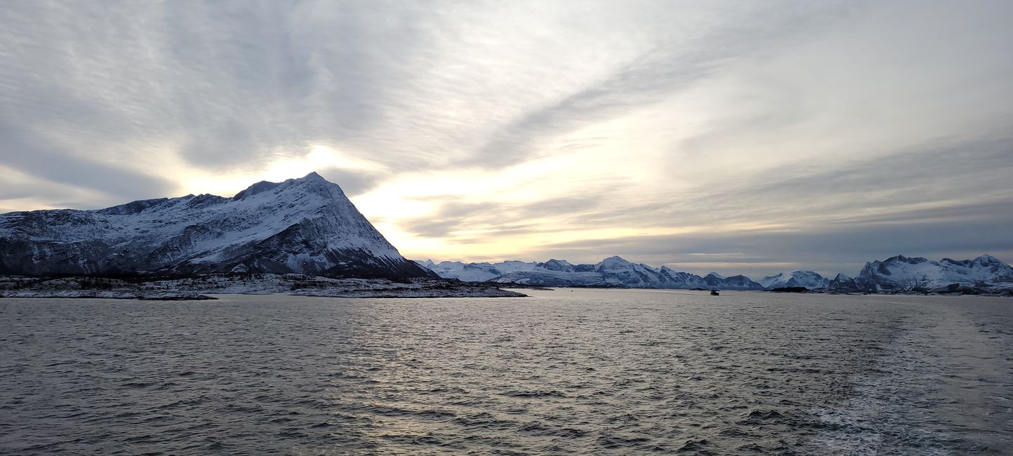 1-14 de febrero de 2023 Hurtigruten
Costa 4 de febrero