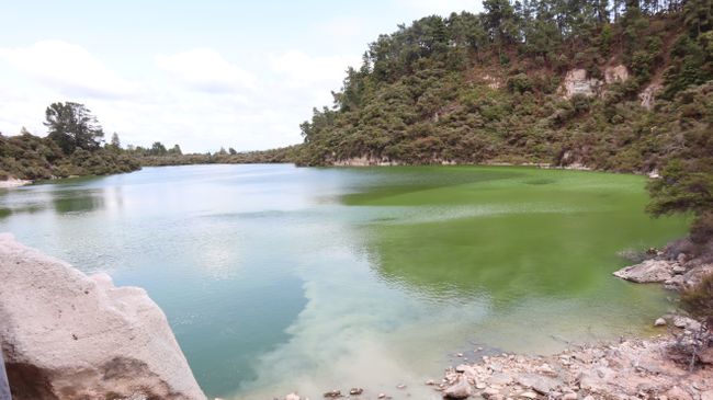 Tag 9 Wai-O-Tapu Thermal Wonderland