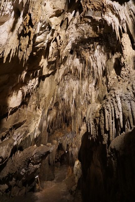 Ngarua Caves 