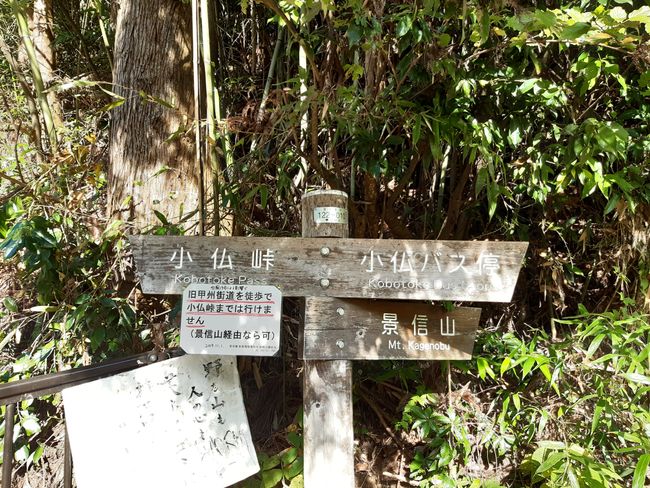 Wandern am Mt. Takao - mal wieder 😅