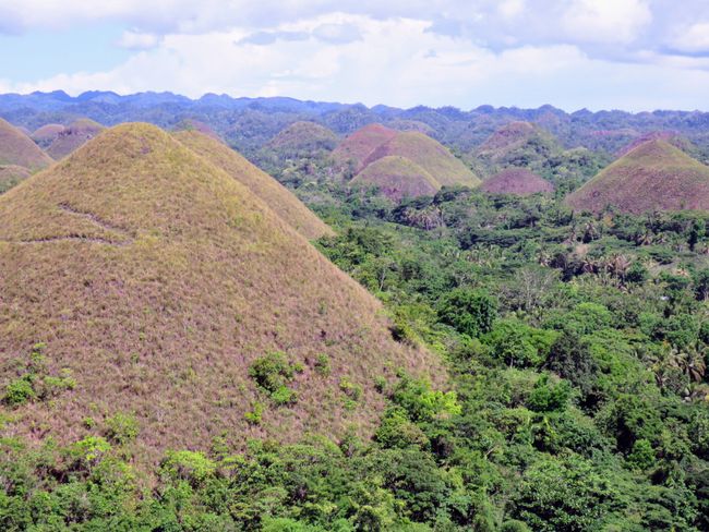 Bohol and the Chocolate Mountains