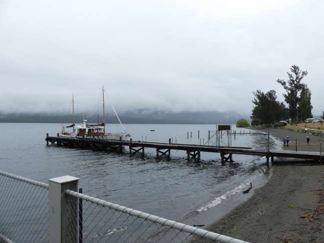 Shore of Lake Te Anau