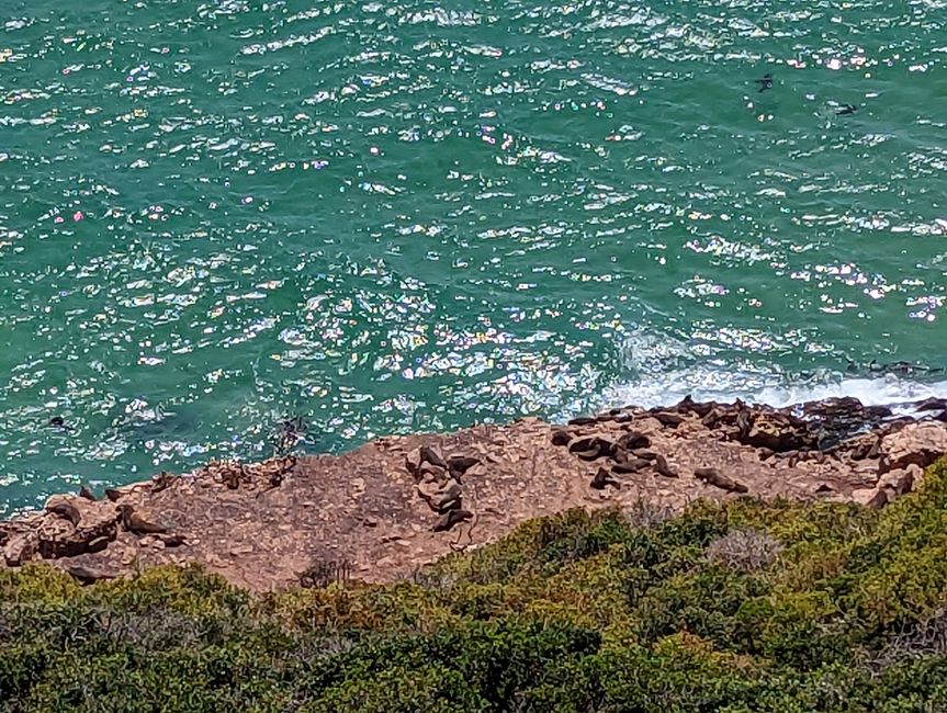 Plettenberg Bay/Robberg Nature Reserve