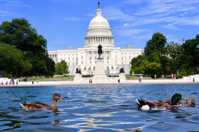 Capitol//White House