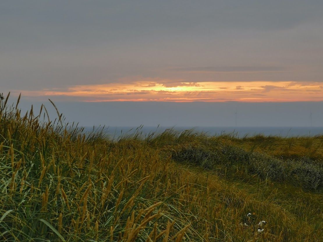 Isifunda sase-Central Denmark