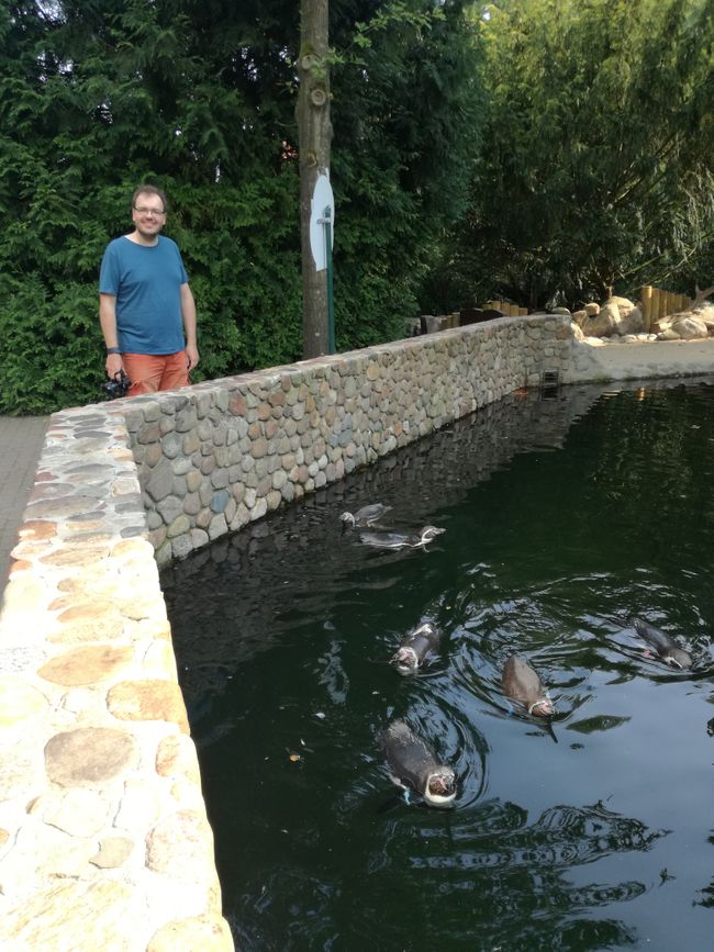 Auch den Pinguinen ist warm