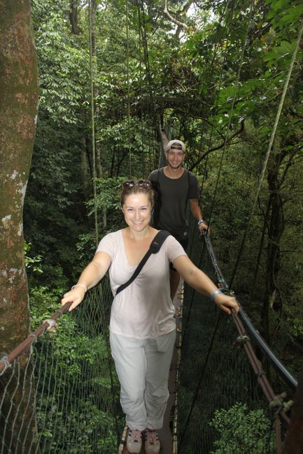 canopy walk with a little bit of height-fear