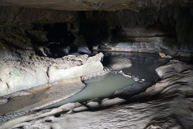Ein kleiner Bach fließt durch die Waipu Caves