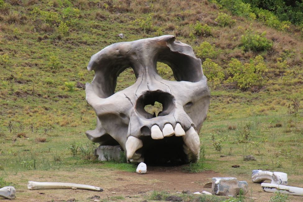 Filmset KONG: Skull Island