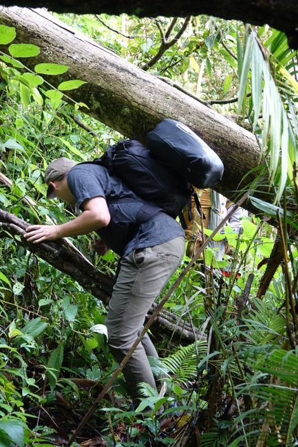 Day 210 – 214 Dschungel Trekking
