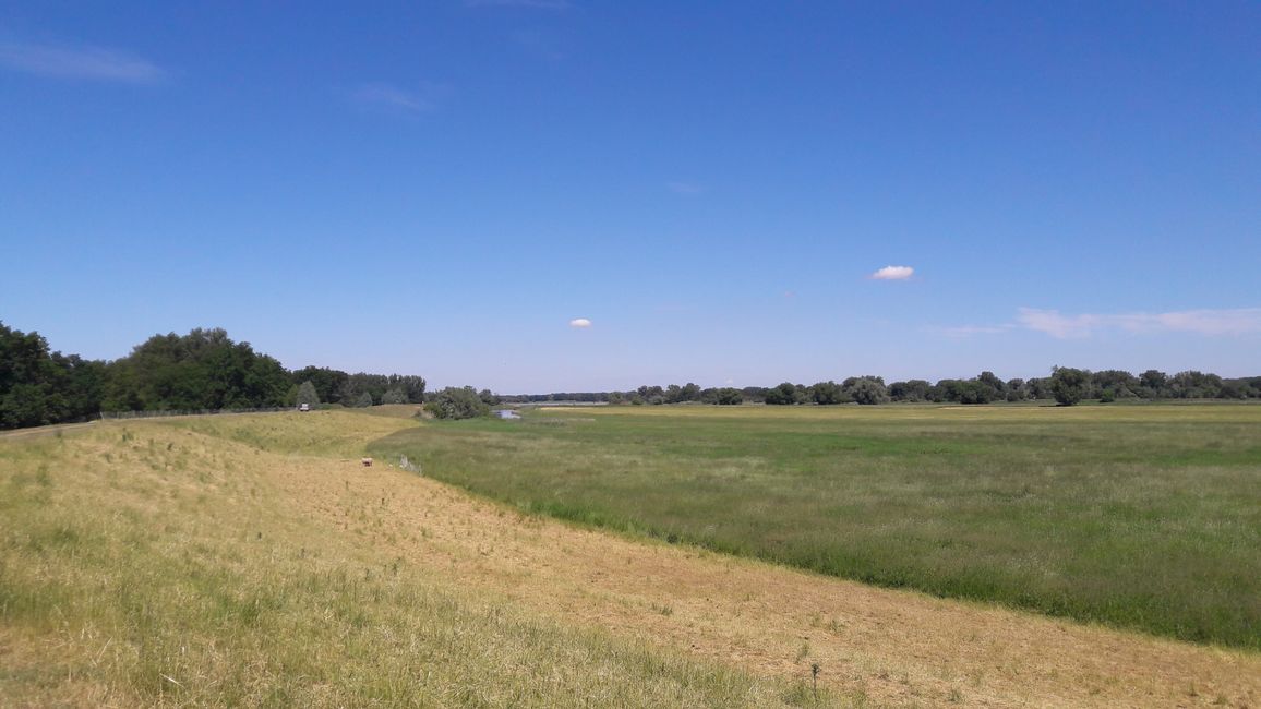 The Elbe Cycle Path