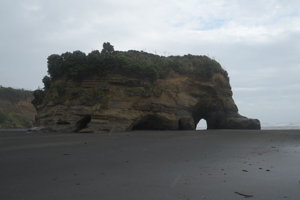 Westküste: Elephant Rock