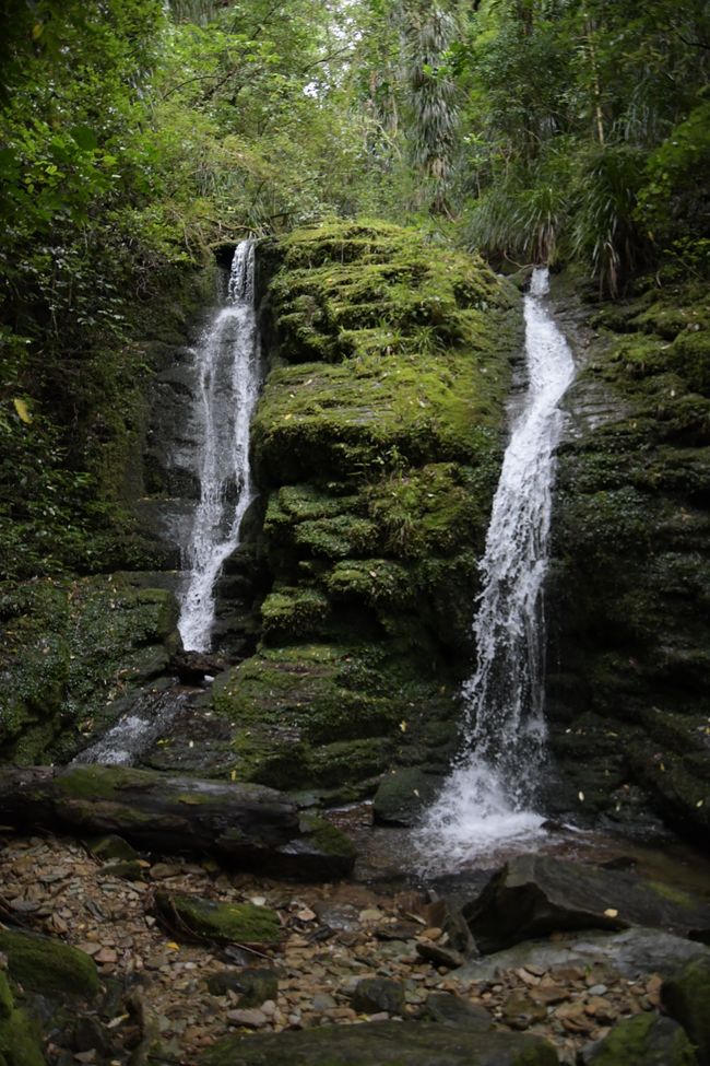 Queen Charlotte Track: Ship Cove Waterfall