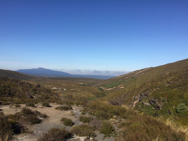 Family time Part 2 and the North Island of New Zealand