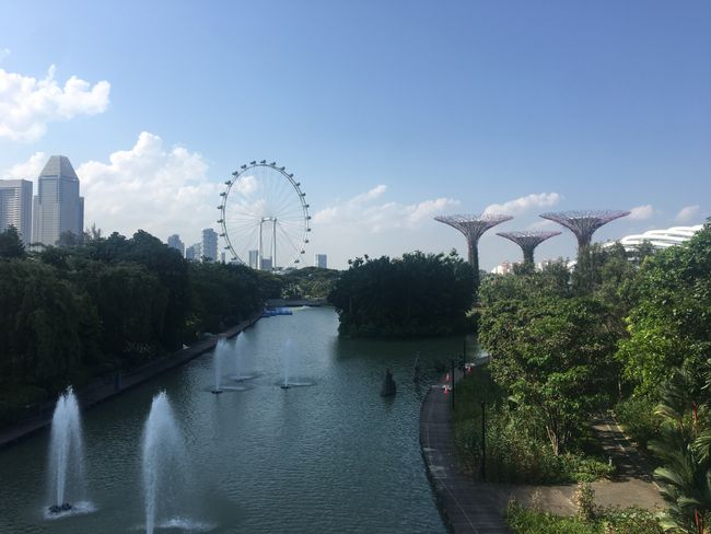 Singapore Flyer und Supertrees