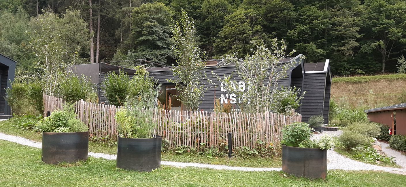 cabinskibolis