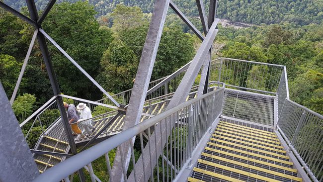 45m high viewing platform with see-through steps🙀
