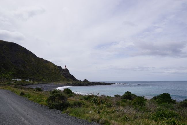 Cape Palliser und die Hauptstadt Wellington