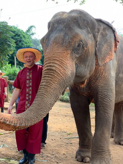 🐘 Taman Penyelamatan Gajah
