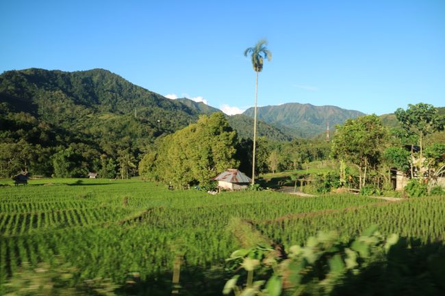 Moni - Kelimutu - Flores - Indonesien