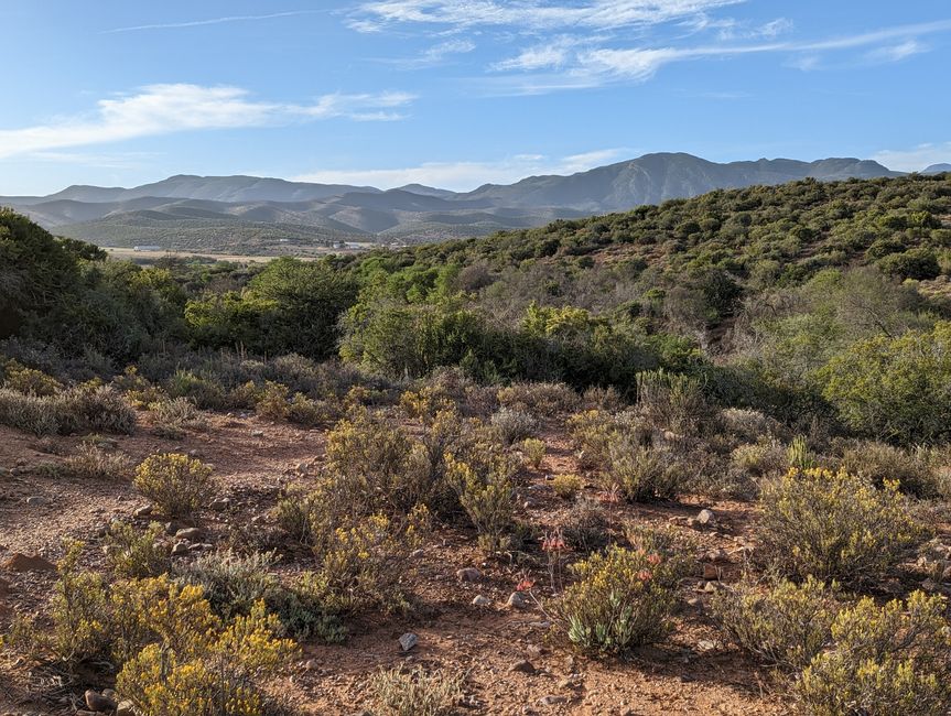 Oudtshoorn Landschaft
