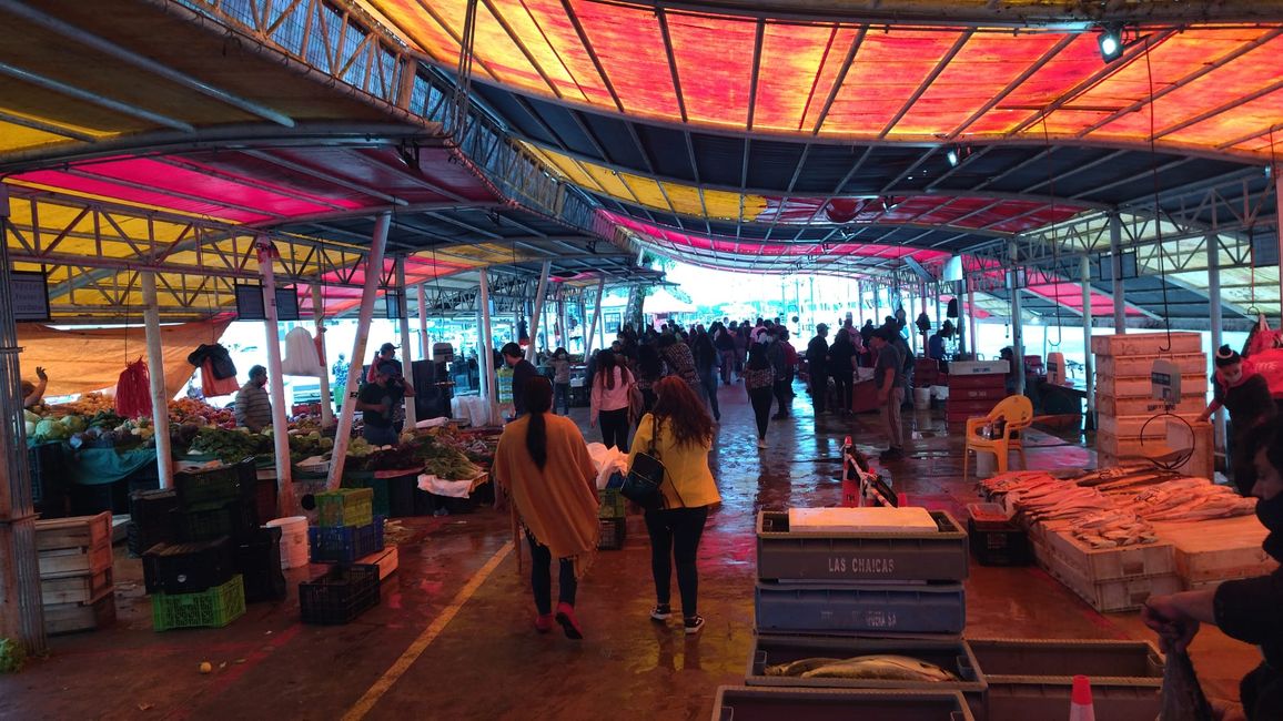 Fish market Valdivia