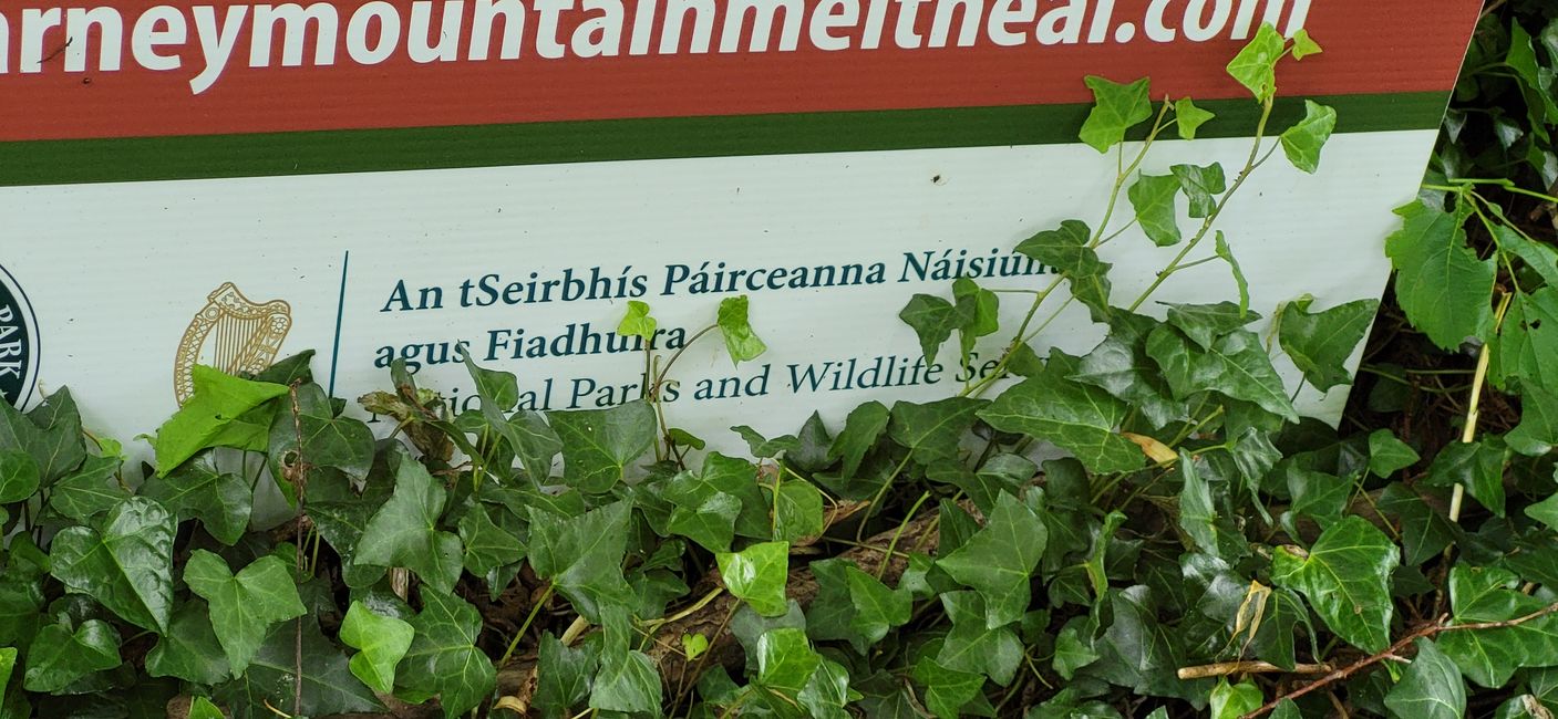 Whare Muckross i Killarney National Park