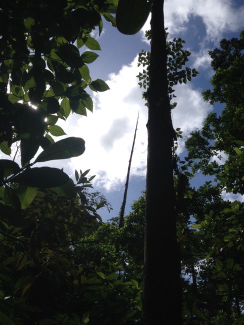 Costa Rica vacation