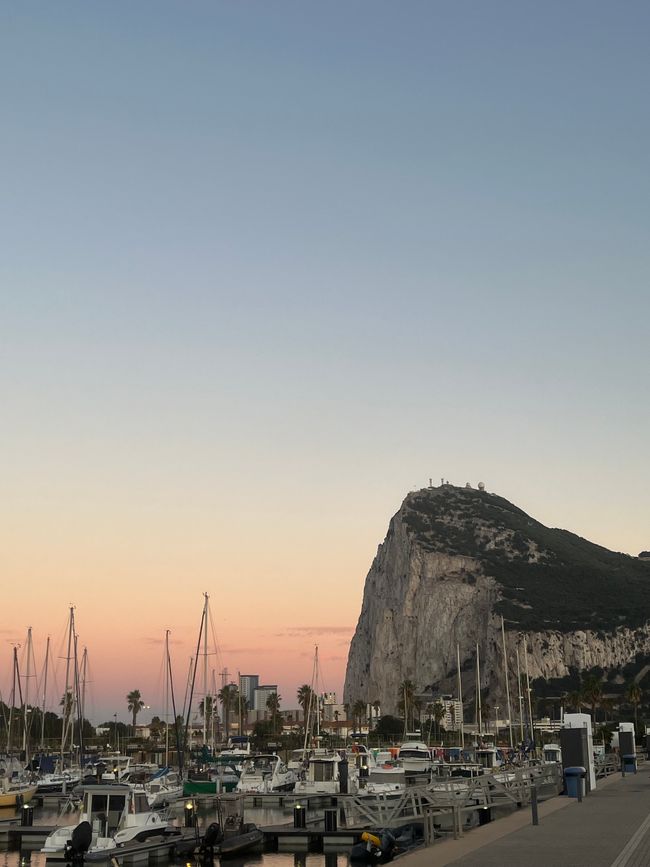 Gibraltar- မျောက်နှင့်လင်းပိုင်များကြား