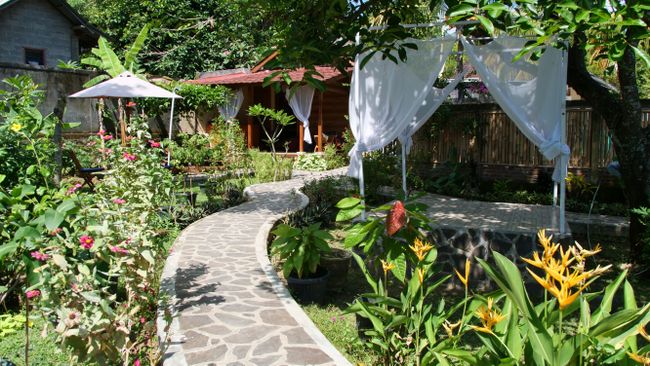 12/06/2019 - Bedugul & The Secret Gardens of Sambangan / Bali / Indonesia
