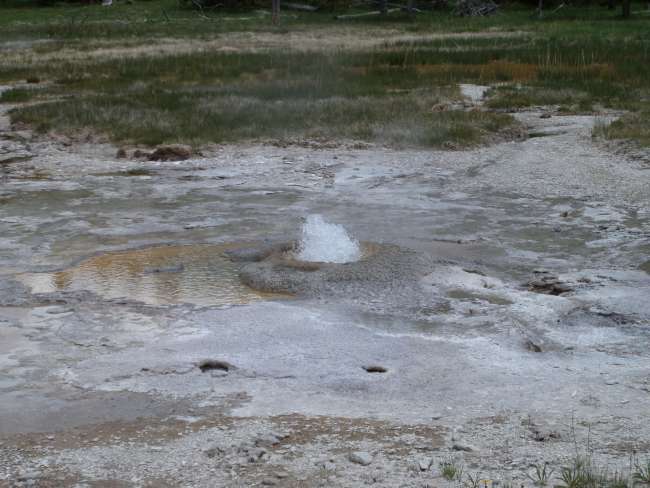 Parco Nazionale Yellowstone