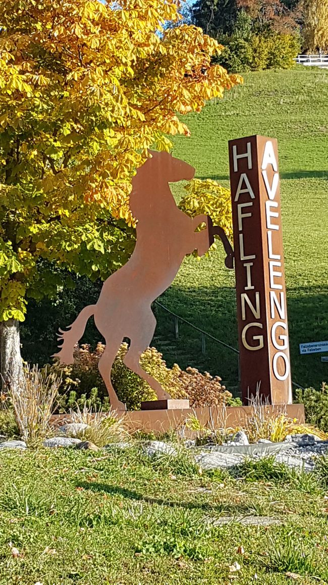 Willkommen in Hafling