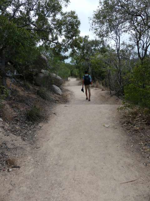 Wavy hiking trail