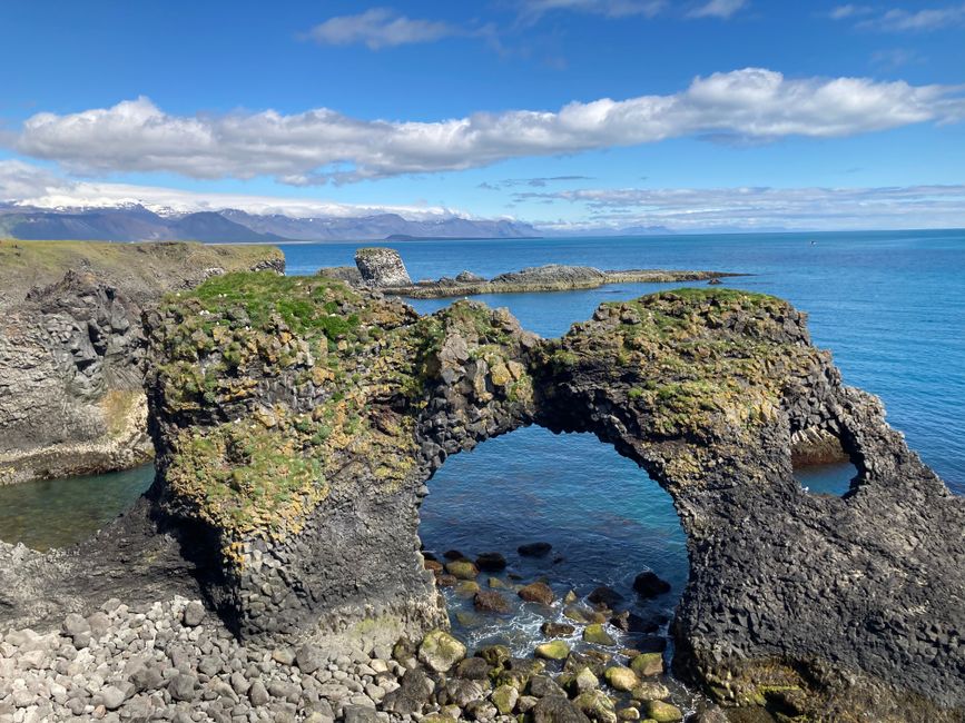 Seagull breeding cliffs in Snaefellsjökull National Park