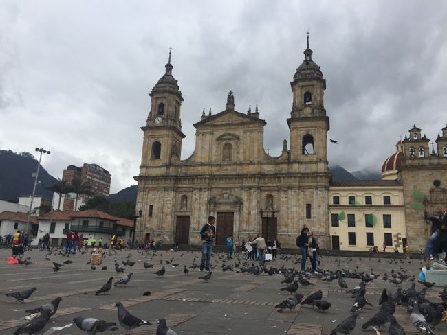 Zaključek po 3 tednih v Kolumbiji
