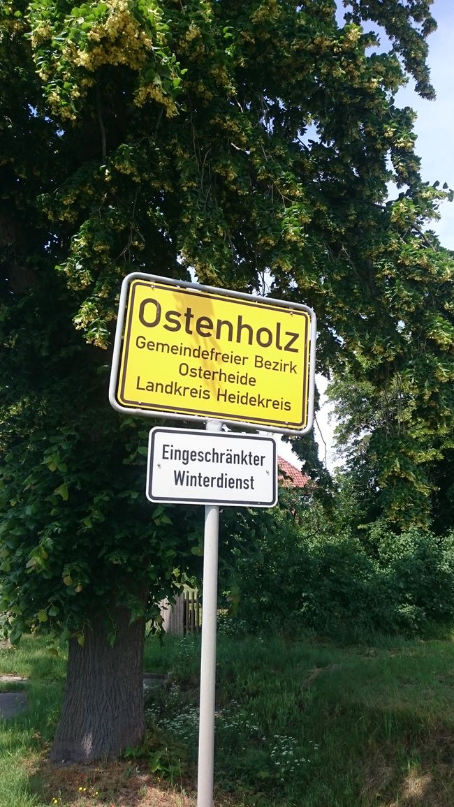 Ostenholz