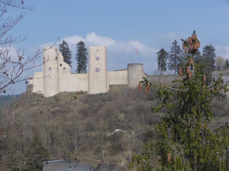 Blick auf die Burgruine Schöneck