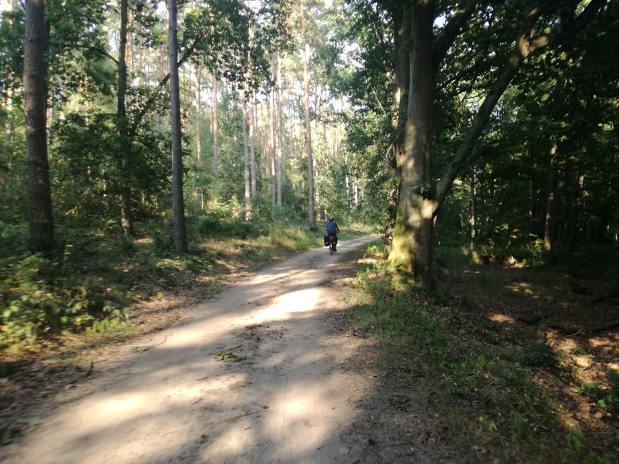 Chemin avec Jörg I