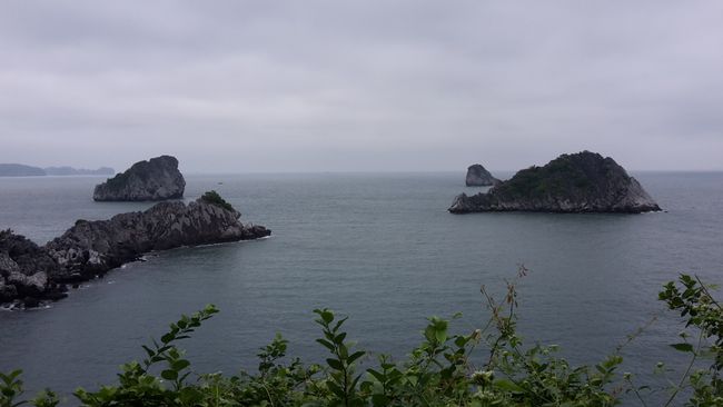 Viewpoint on Monkey Island