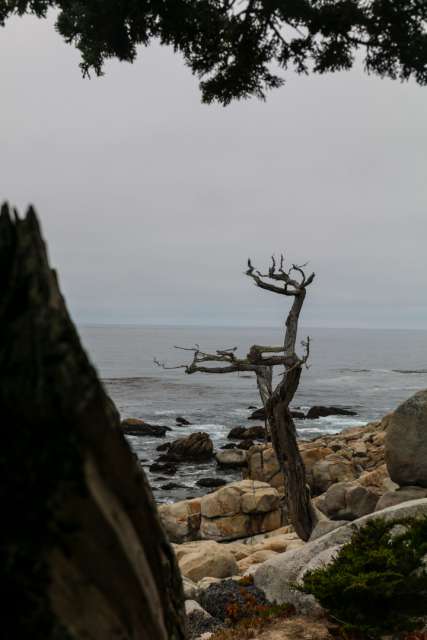 Day 21: along Highway No. 1 to Monterey