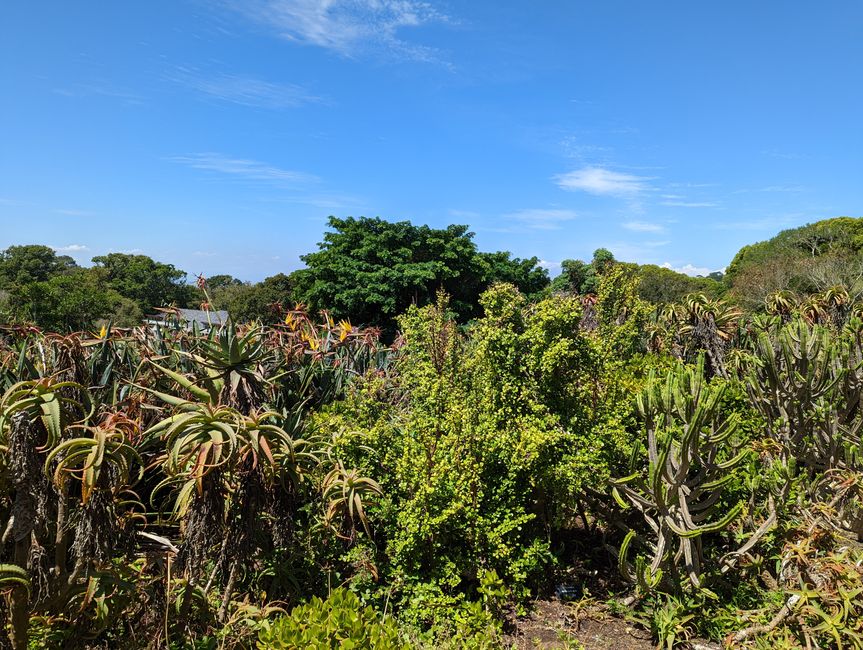 Kapstadt/Cape Town