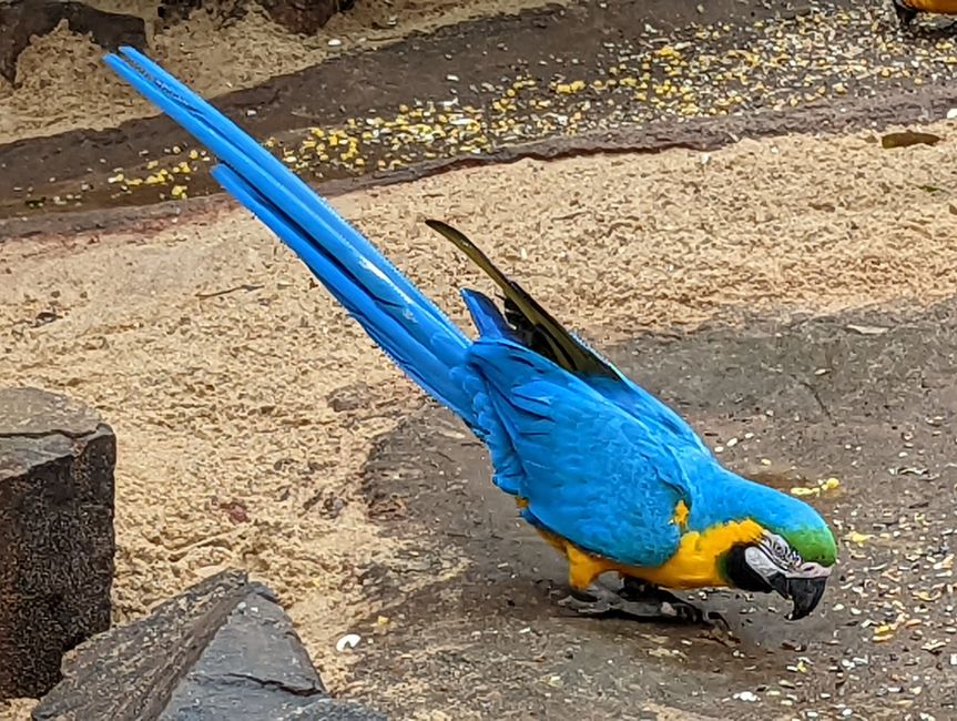 07.06.2022 - Vogelpark und Wasserfälle