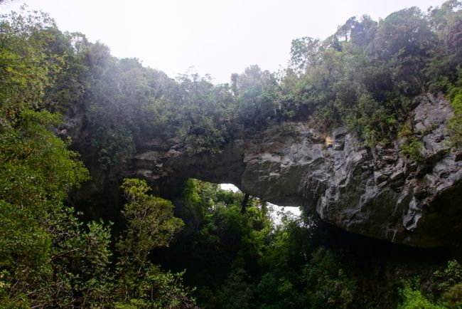 Oparara Arch - from the ground