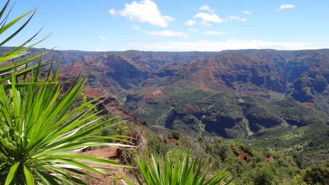 In the Waimea Canyon, there was such a gusty wind that it even blew a waterfall upwards