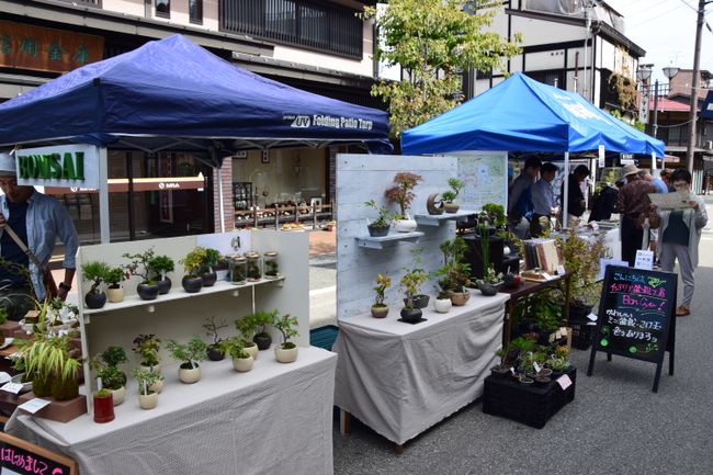 Bonsai auf dem Markt