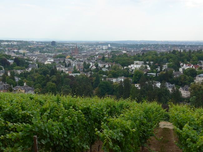 Blick über Wiesbaden vom Neroberg