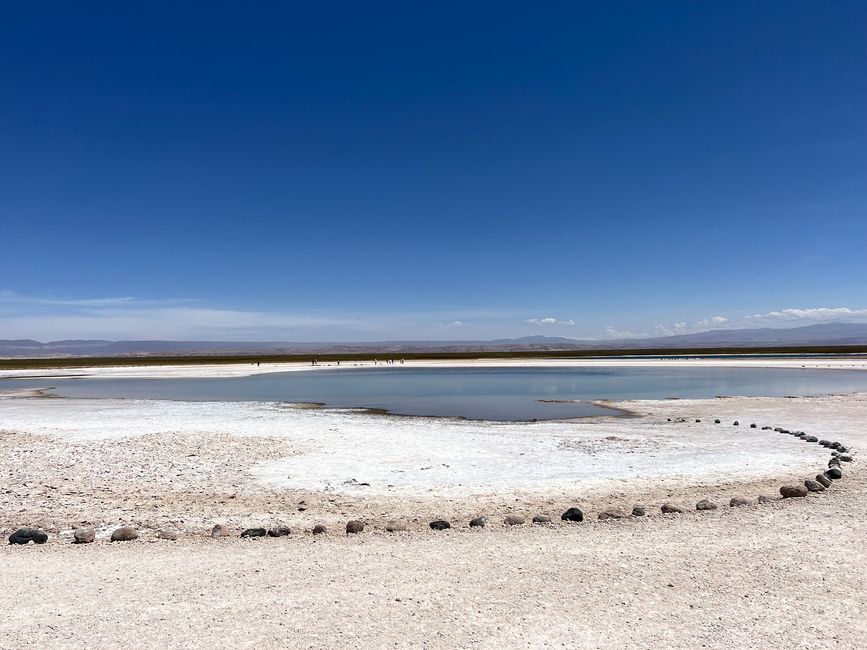Salar de Atacama, Lagoons
01/30/2023