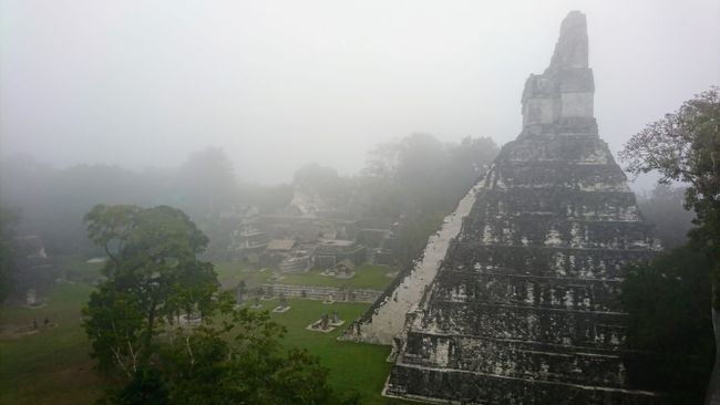 maya ruine in tikal