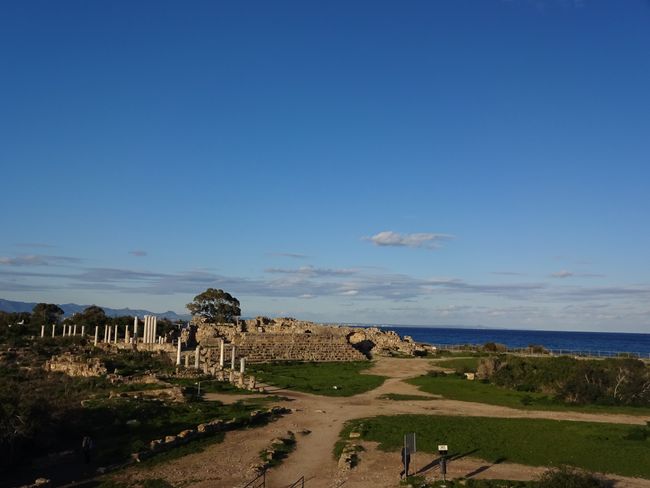 Die Überreste des antiken Salamis direkt am Meer