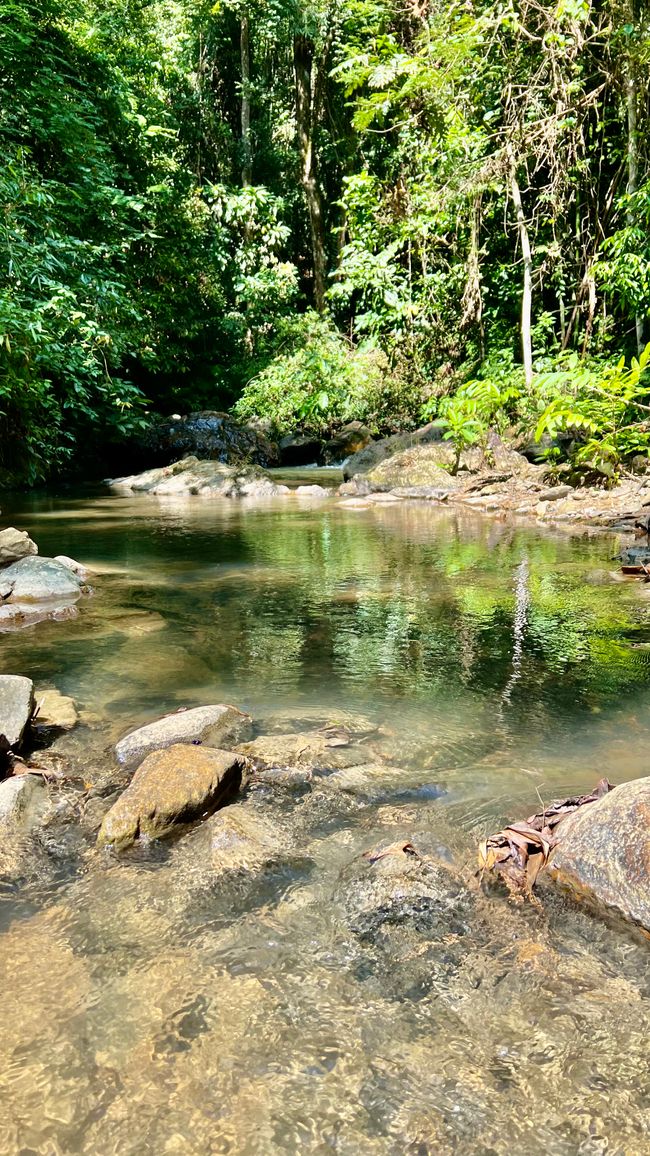 Tag 325 - Another change of accommodation @ Phu Siab Mhok@KhaoSok